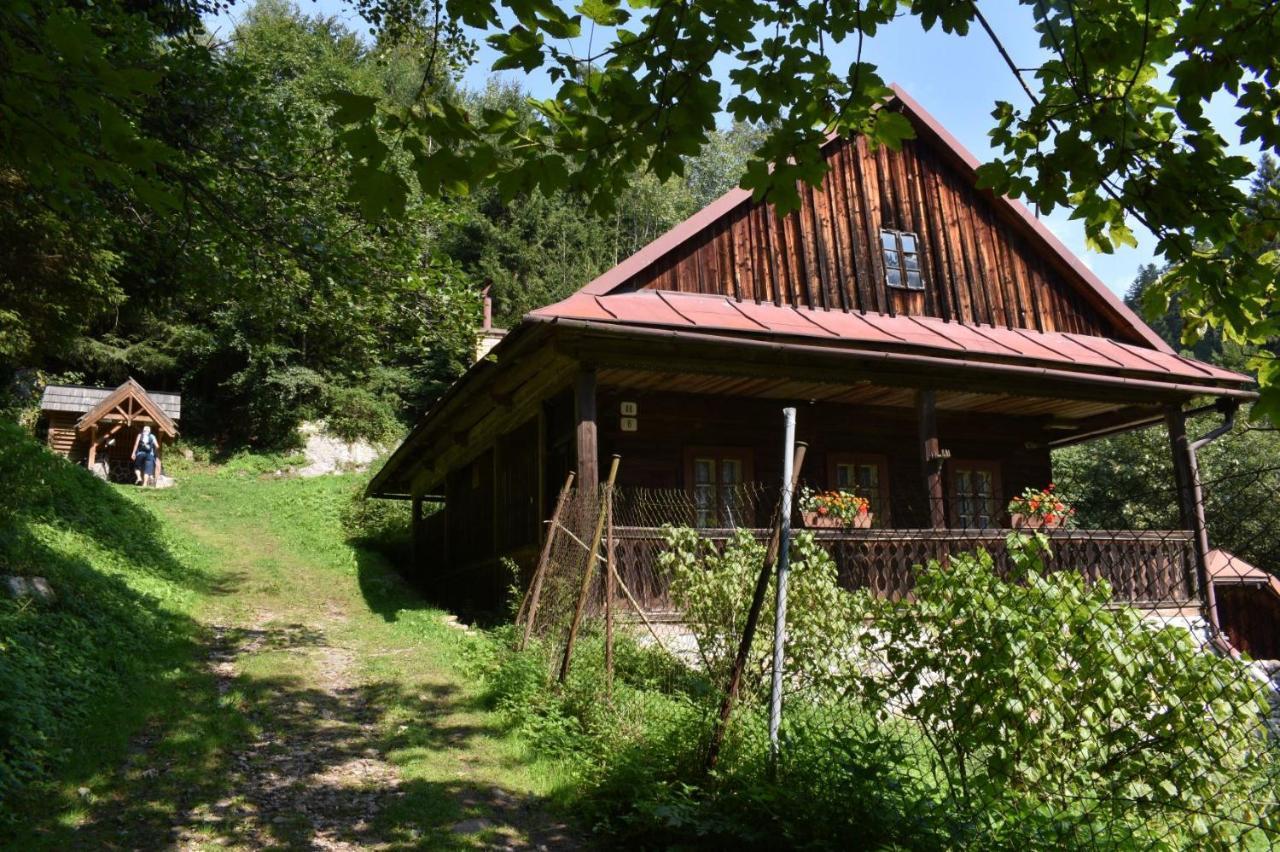 ブレズノ Drevenica Polomka, 5 Min Peso Restauracia, Ticha Ulica, Potokヴィラ エクステリア 写真